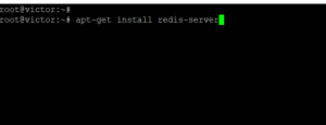 Redis server install