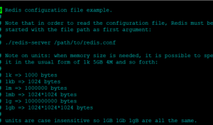 Redis Server configuration
